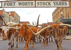 Stockyards
