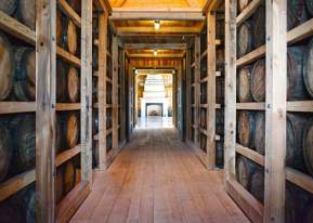 Themed Events & Spaces