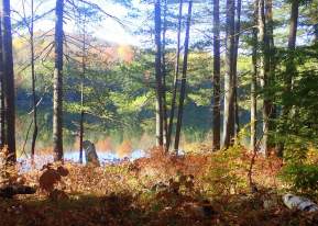 Palmer Pond Hiking Trail