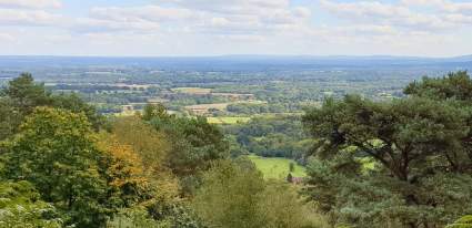 View from Black Down
