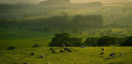 Shillings Valley, South Downs National Park