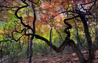 Fall for Hickory: Your Seasonal Event Roundup