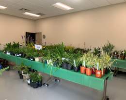 Laurel Oak Garden Club Members' Plant Sale