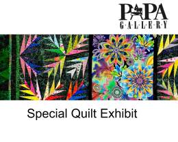 Special Quilt Exhibit