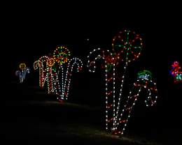 Christmas in the Park