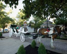 2025 Carriage Ride Schedule