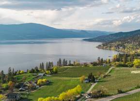 Turn Your Kelowna Business Trip into a Wine Country Escape