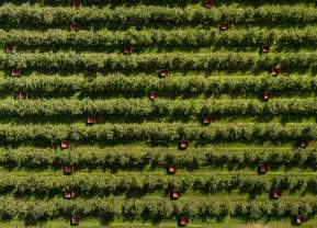 In Season: Four Okanagan Farm Markets to Visit Right Now