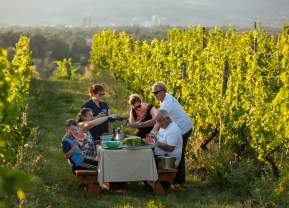 Family-Friendly Wineries in Kelowna and Beyond