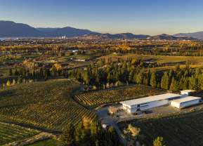 Land to Table: Discover Kelowna's Culinary Ecosystem