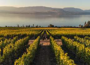 Fall Tasting Guide: Must-Visit Wine Spots in Kelowna & Surrounding Areas