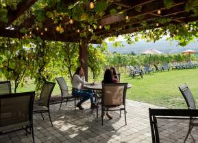 What to Do in Kelowna When Friends & Family Visit This Summer