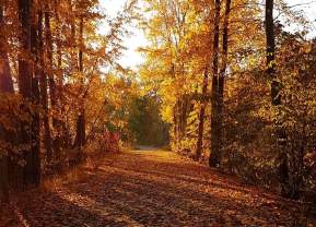 Fall Hiking in Kelowna: Trails to Explore This Season