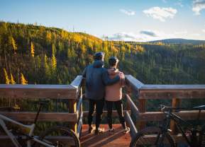 Where to See Golden Larches Near Kelowna, BC
