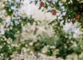 Why September Is the Sweet Spot at The View Winery & Wards Cider