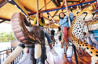 Salt Lake Connect Attractions Pass