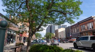 A bustling urban street scene with cars and people. A large leafy tree in the foreground, flanked by brick buildings and shops under a clear blue sky.