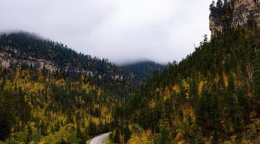 fall colors and fog along the spearfish canyon scenic byway in the black hills of south dakota