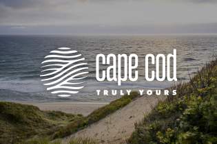 Cannabis Dispensaries