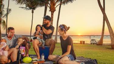 Dampier-the palms