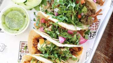 Mexican street tacos are lined up on a tray, topped with a generous pinch of cilantro.