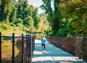 Explore Lake Norman Parks & Greenways
