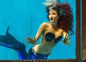 mermaids