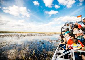 Everglades