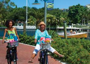 Mobi Grandma Bike