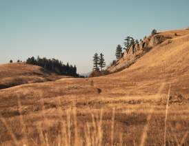 Black Mountain sntsk il nt n Regional Park 4