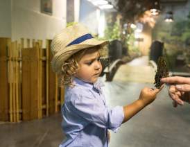 Audubon Insectarium