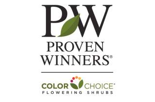 Proven Winners ColorChoice Flowering Shrubs