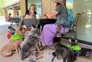 Bike Boat Brew & Bark Paddling