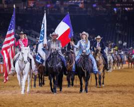 Rodeo y Exposición Ganadera de Houston