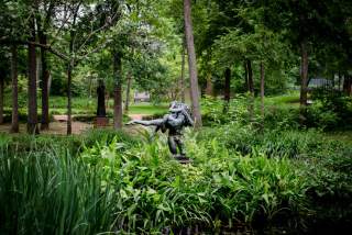 Accessible Things to Do in Austin