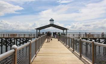 Top Dog-Friendly Destinations for Fun in the Outdoors in Warwick, RI