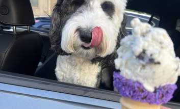 Celebrate Summer with a Cold, Sweet Treat in Warwick, RI