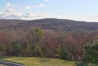 Live Webcam View at The Grand Woodland Villas