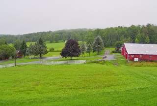 Live Webcam at Equestrian House, Pleasant Mount, PA