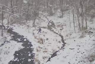 Live Webcam View of Barley Creek Brewing Company in Tannersville, PA