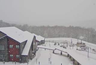 Live Webcam View at The Grand Woodland Villas