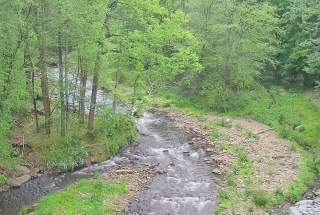 Live Webcam View of Barley Creek Brewing Company in Tannersville, PA