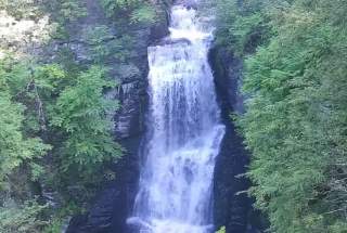 Live Webcam at Bushkill Falls in the Pocono Mountains