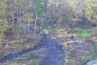 Live Webcam View of Barley Creek Brewing Company in Tannersville, PA