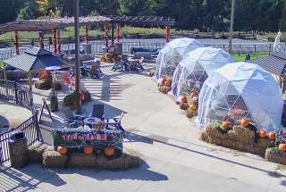 Live Webcam View at Great Wolf Lodge of the outdoor pool & ropes course