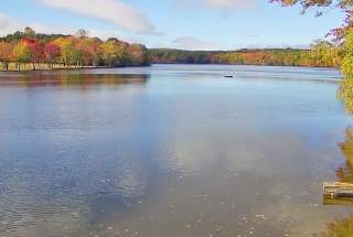 Live Webcam East View at Mountain Springs Lake Resort in Reeders