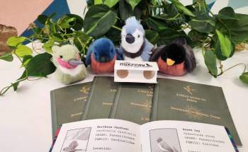 Plush birds with Downtown Bird Guide Books and binoculars - hummingbird, bluebird, Blue jay, and robin