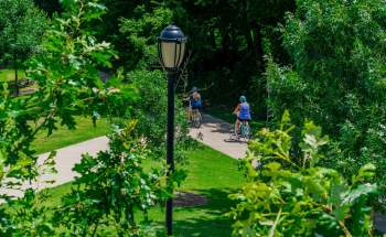 Two people biking through lush green trees