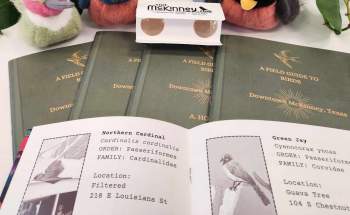 Plush birds with Downtown Bird Guide Books and binoculars - hummingbird, bluebird, Blue jay, and robin