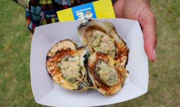 Nate's Fried Oysters at Taste Addison